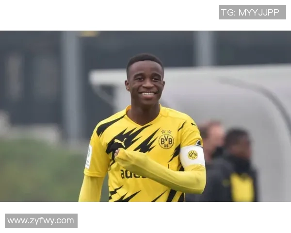 荷甲锋线新生力加盟，汉堡再添破门利器